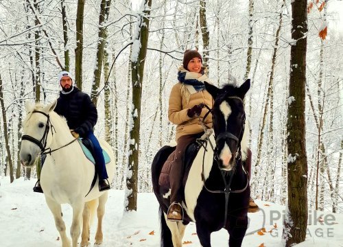 Конные прогулки horse-dzr в Дзержинском