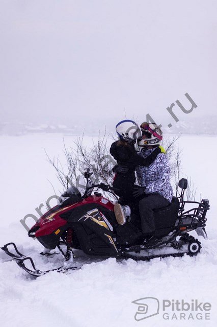 подарочный сертификат